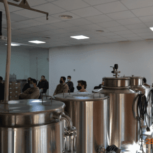 Equipo Elaboración Profesional
